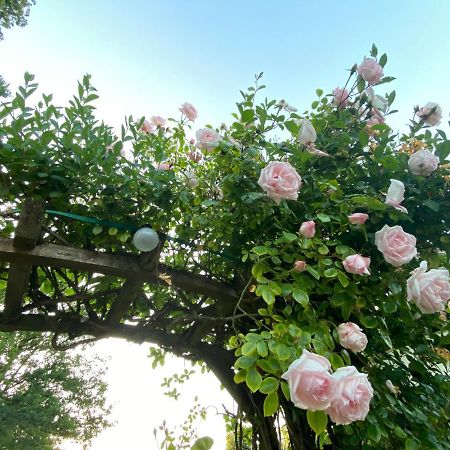 Bras-Haut B & B Simme Zimme المظهر الخارجي الصورة